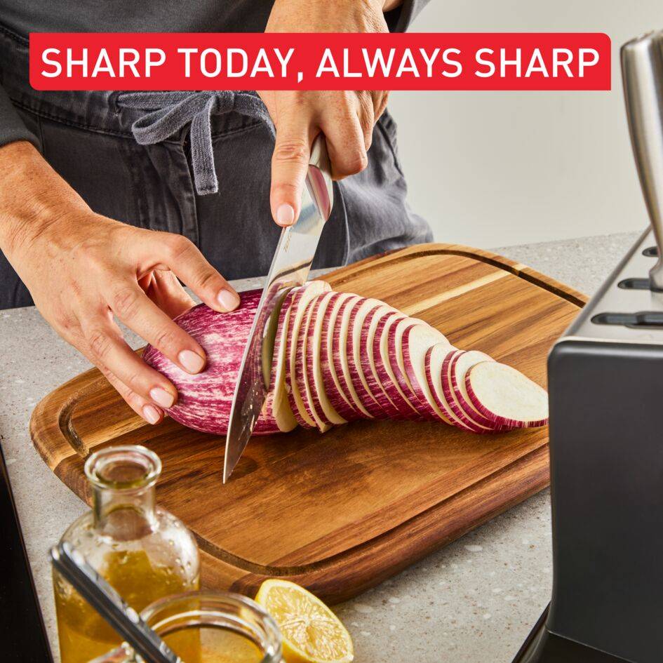 EverSharp Stainless Steel 6-Pc Knife Set and Block with Sharpener