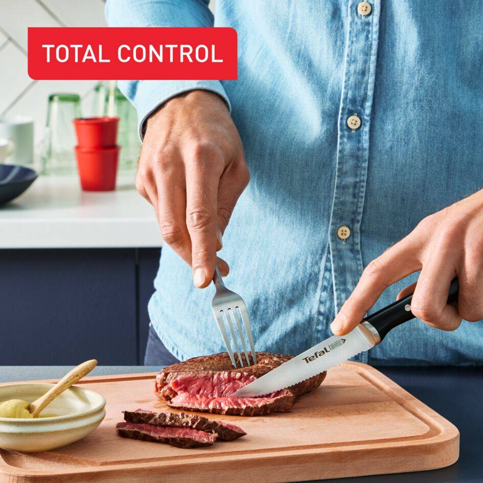 Комплект от 4 ножа с острие от неръждаема стомана Ice Force K232S414