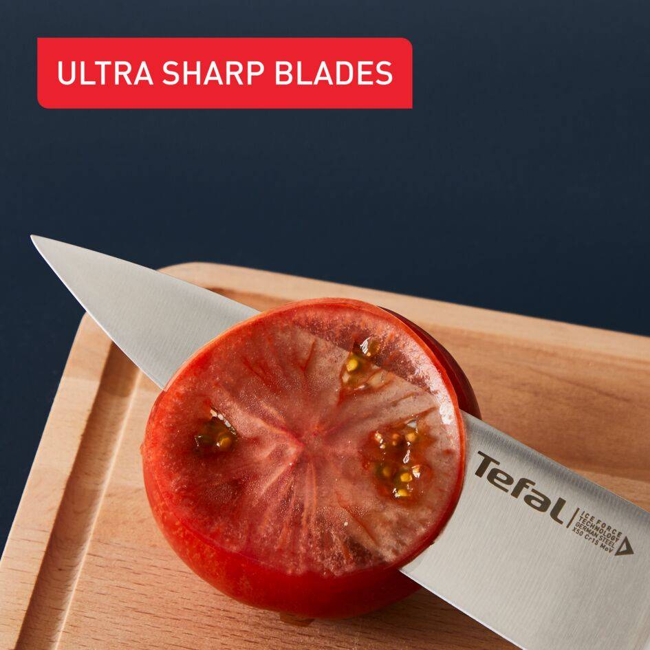 Комплект от 4 ножа с острие от неръждаема стомана Ice Force K232S414