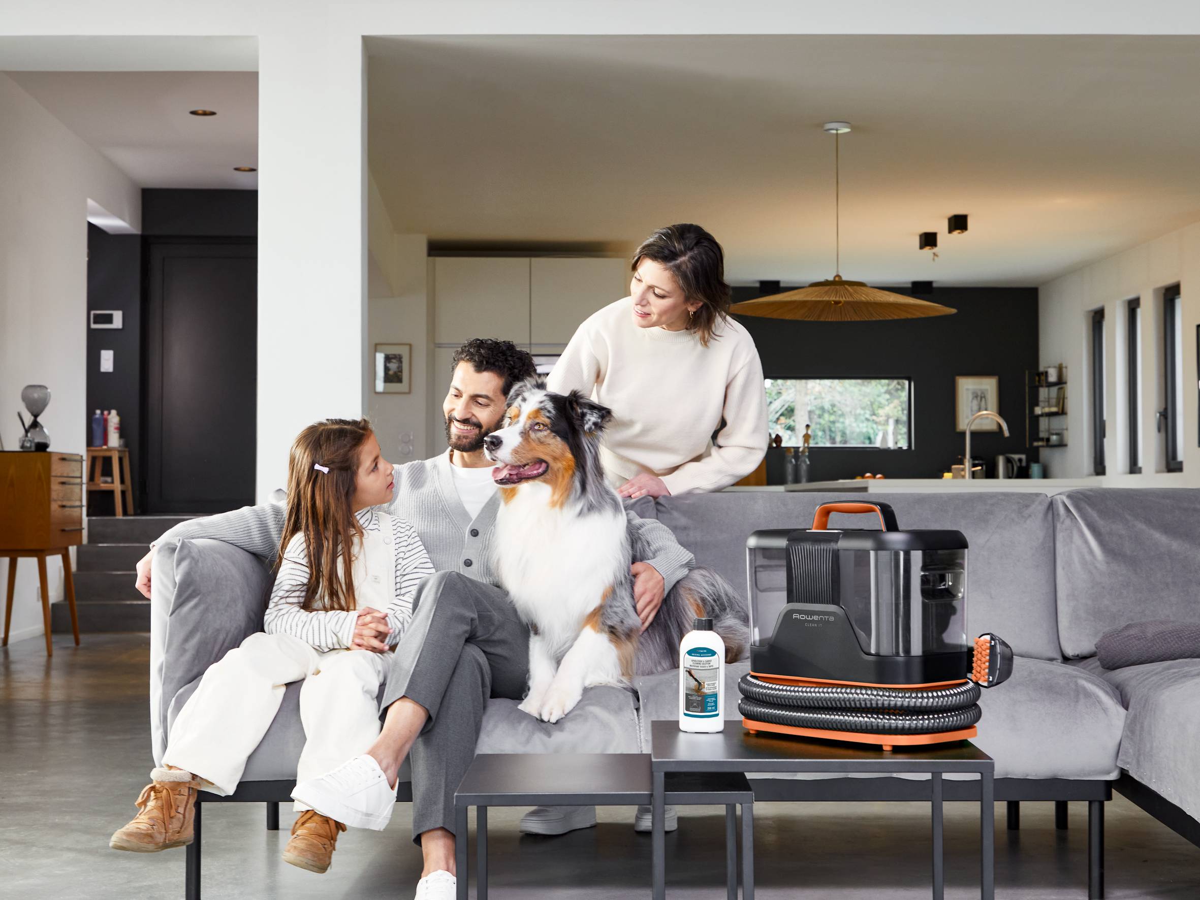 Препарат за почистване на тапицерии и килими от петна от домашни любимци 1 л