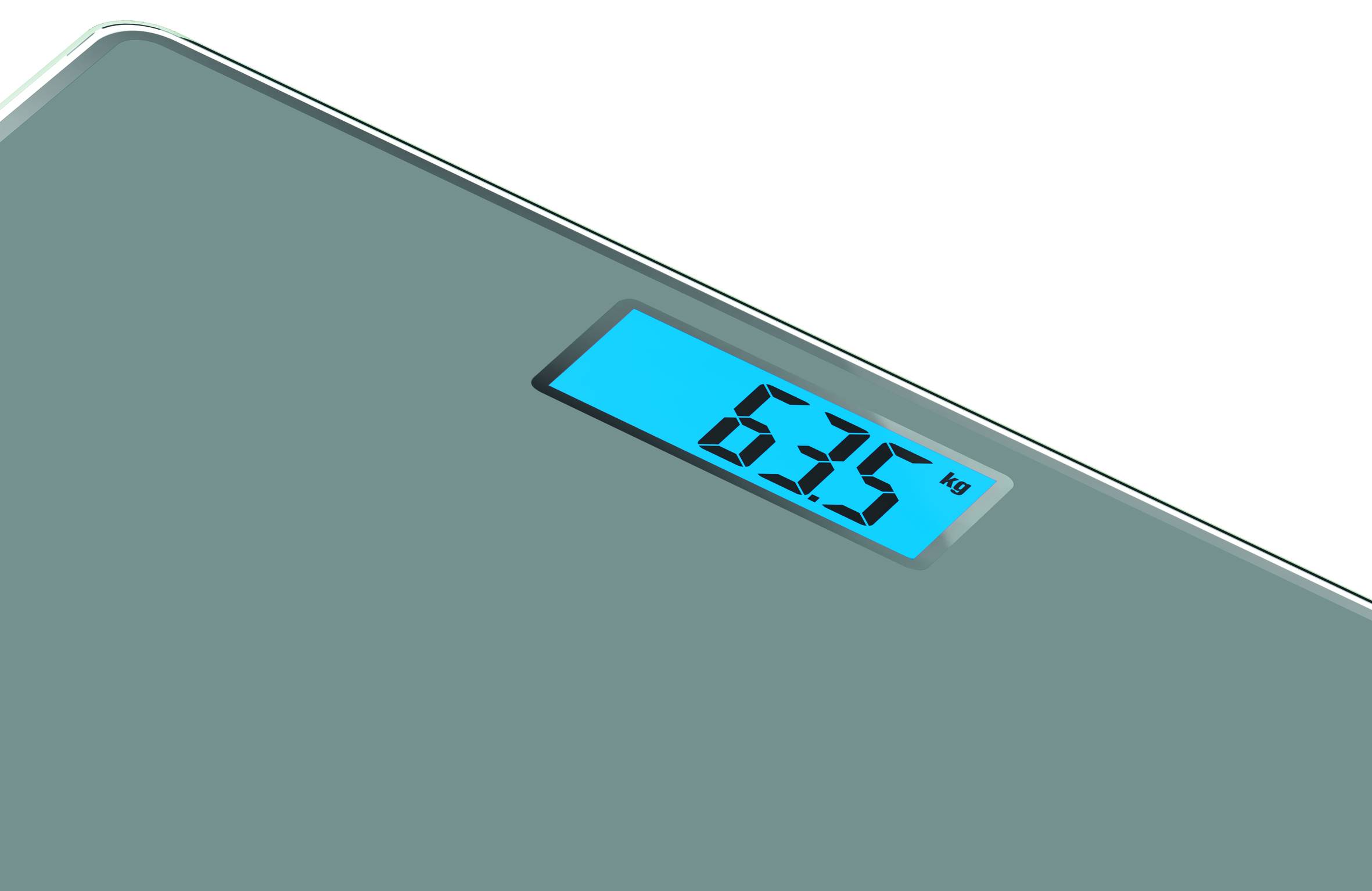 Персонална Везна Classic PP1500V0, Сива, до 160кг.